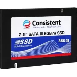 Consistent S6 256 SSD GB Laptop, All in One PC, Desktop Internal Solid State Drive (S6 256GB)